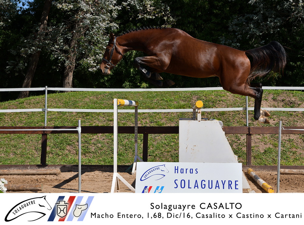 SOLAGUAYRE CASALTO